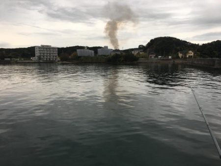 コアジ93匹、中アジ（25㎝）1匹、ガシラ1匹