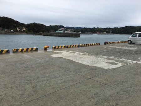 コアジ29匹、中型アジ（26㎝）1匹