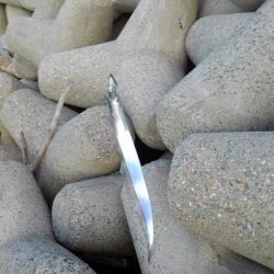 お初がダブルで来たよ