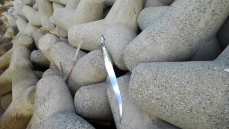 お初がダブルで来たよ