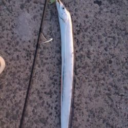 横風が冷たかったです