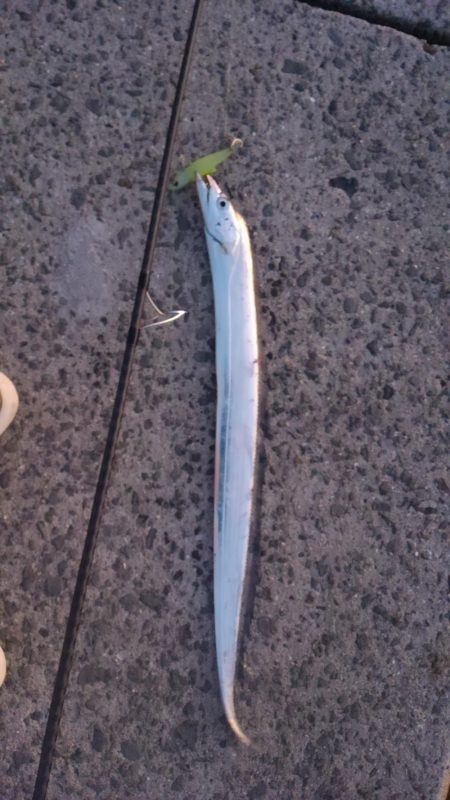 横風が冷たかったです