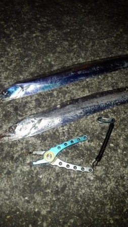 何とかタチウオ2匹