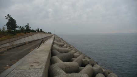 青物不発でサビキ