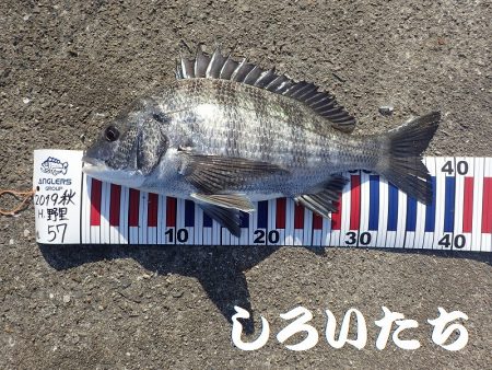 短時間で、良く釣れました。