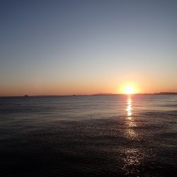 100cm超え！　高確率で出現中！