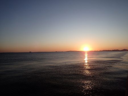 100cm超え！　高確率で出現中！