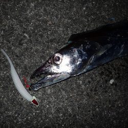 でたっ！120cm超え！！