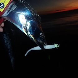 ギリギリ超えた(^^)