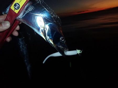 ギリギリ超えた(^^)