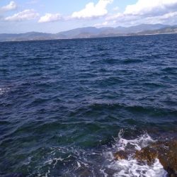 大島でエギング