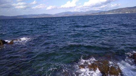 大島でエギング