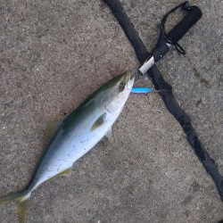 爆釣モード突入