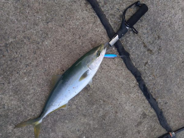 爆釣モード突入