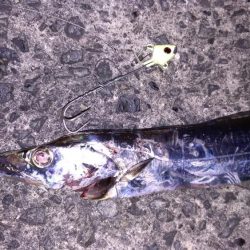 テンヤでタチウオ