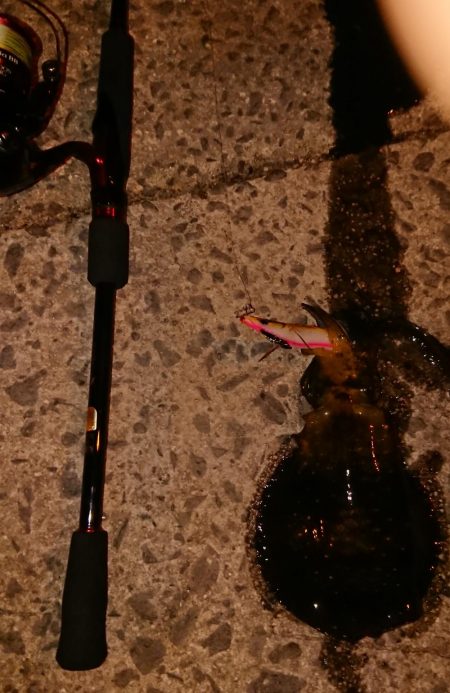 宇宙人シリーズ