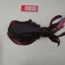 ボートエギング３