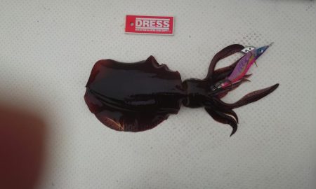 ボートエギング３