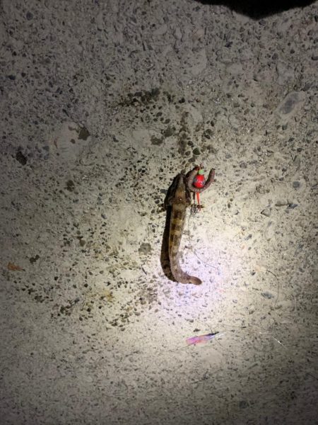 投げ釣りからのブラクリ