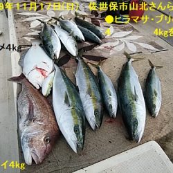 大物釣果速報！●光義丸：平戸市早福港