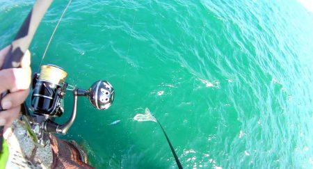 底からの誘い上げでハマチ