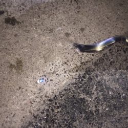 かっとびボール　太刀フロート