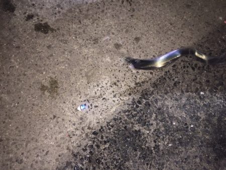 かっとびボール　太刀フロート