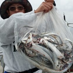 遊漁船 ニライカナイ 釣果