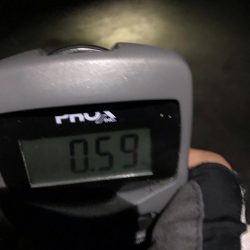 エギングでアオリイカ釣果！秋イカシーズンもいい感じかも