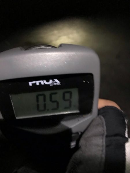 エギングでアオリイカ釣果！秋イカシーズンもいい感じかも