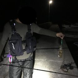 激シブでも大潮の南紀串本でエギング、アオリイカ釣果