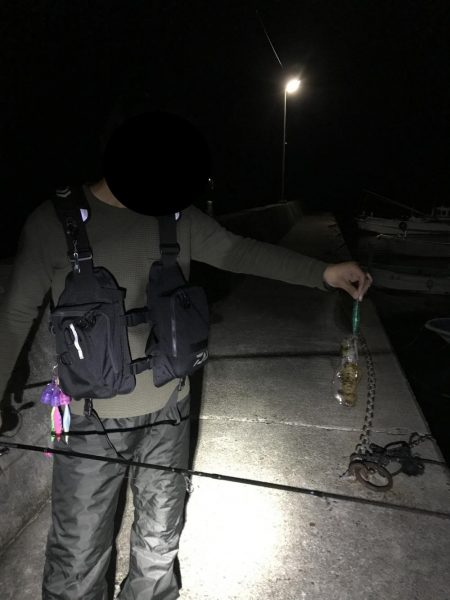 激シブでも大潮の南紀串本でエギング、アオリイカ釣果