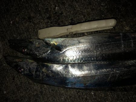 ワインド後アジング