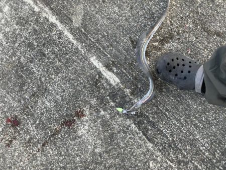 昨日のリベンジ