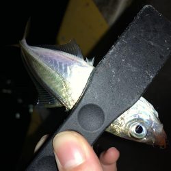 アーバンサイドアジング