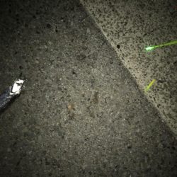 釣り日和に限って。