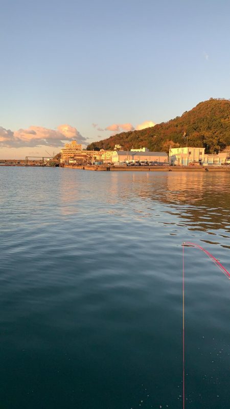 泳がせ釣りにて