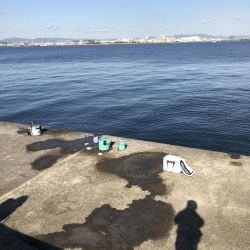 武庫川一文字でハマチ