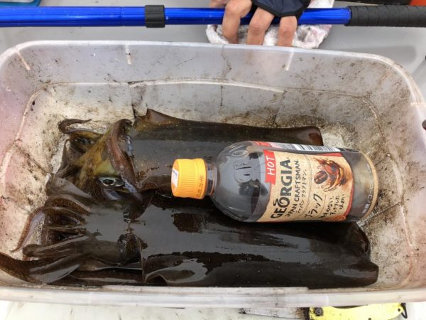 ティップラン再び