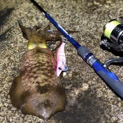 南紀遠征しました！