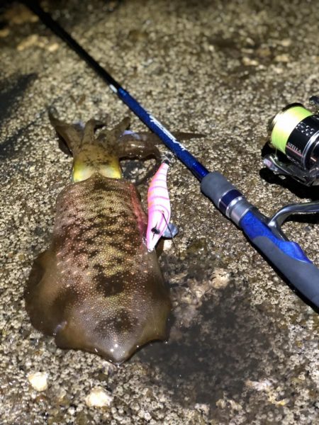 南紀遠征しました！