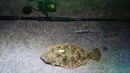 サーフヒラメ シーズン到来!?