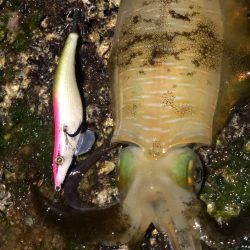 時間限定の場所