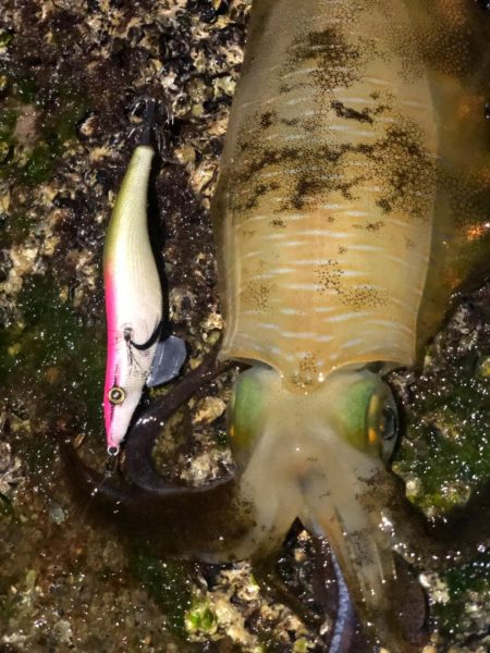 時間限定の場所