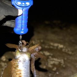 前日に引き続き