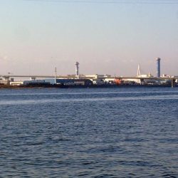 冷え込みの影響？