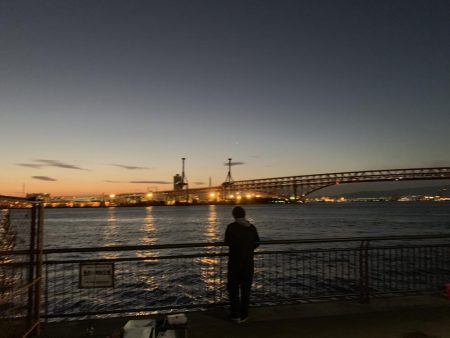 好調、湾奥タチウオ