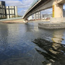 フカセ釣りプラクティス