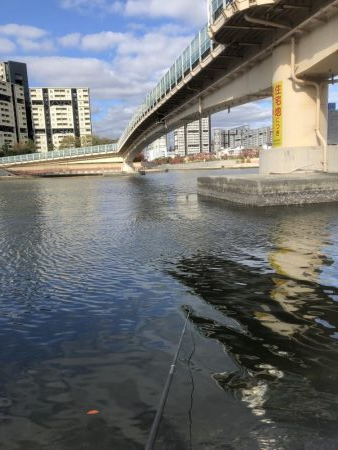 フカセ釣りプラクティス