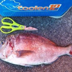 兎に角寒い!でも大漁でした!!疲れた~、でも^^b